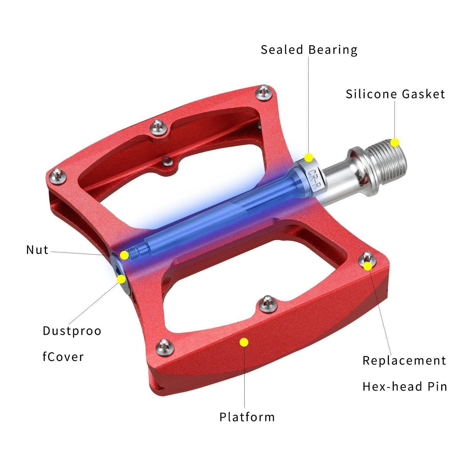 Bearing for bike store pedal